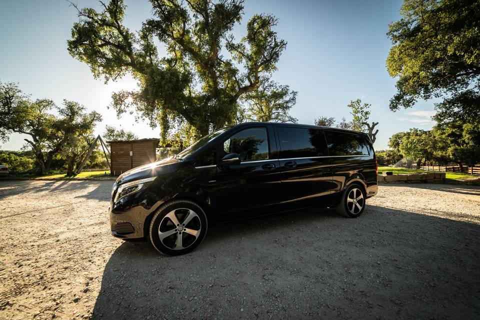 Mercedes- Benz V 8 Lugares