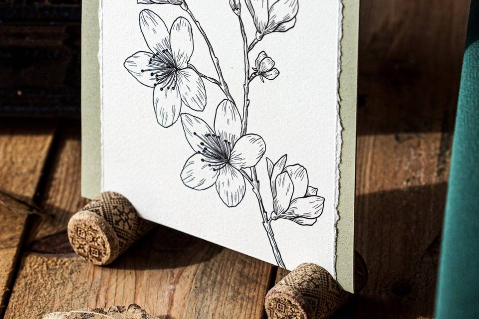 Airflower Design