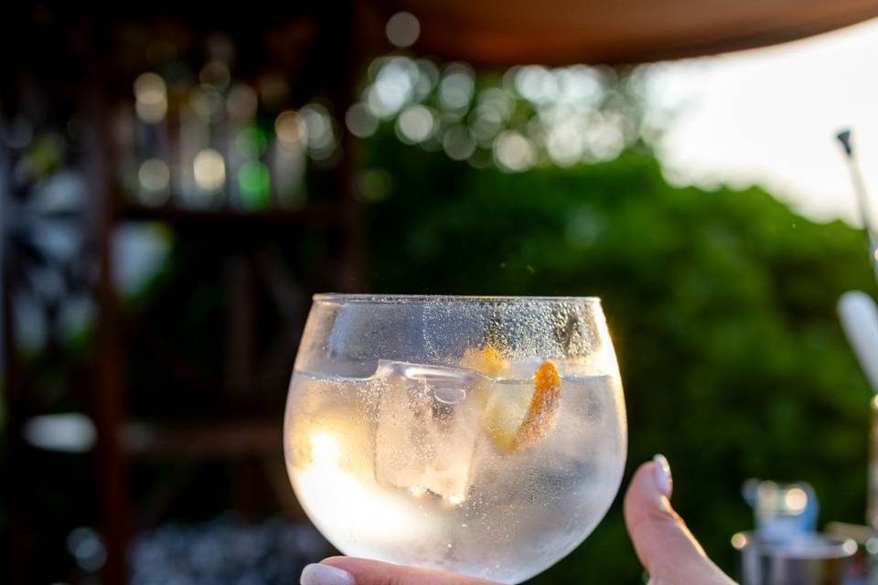 Gin Tónico