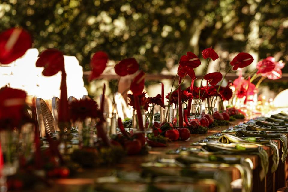 MD Eventos & Turismo