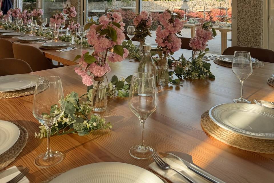MD Eventos & Turismo