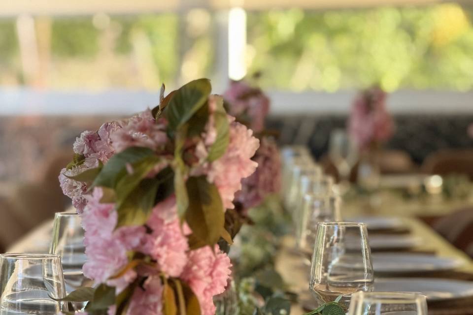 MD Eventos & Turismo