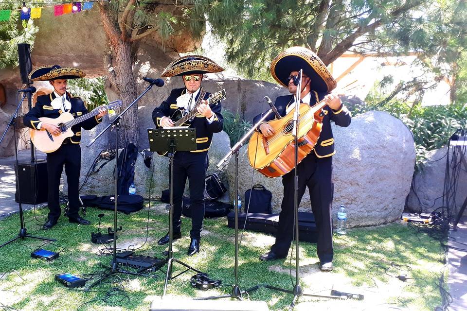 Mariachis Mexicanos