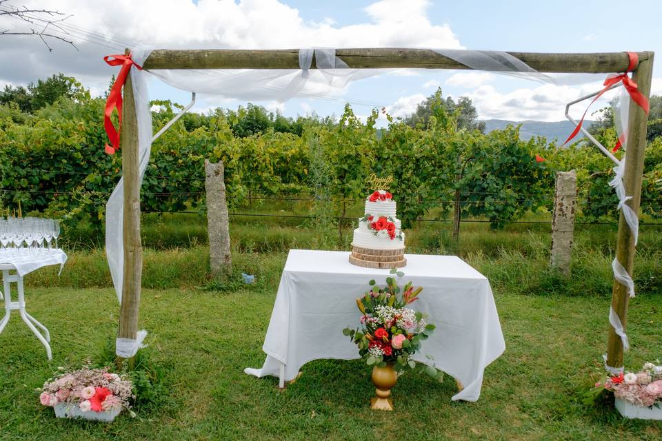 Relvado com mesa do bolo
