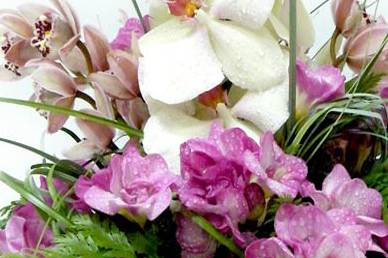 Bouquet de Orquídeas