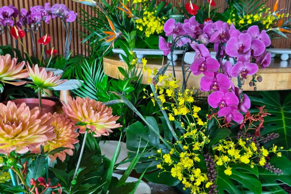 Plantas com raízes