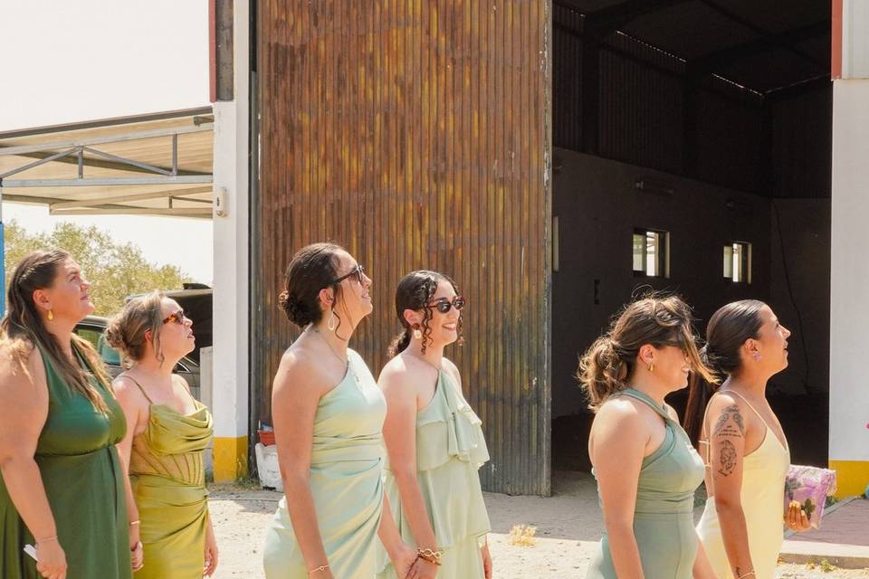Casamento C&D