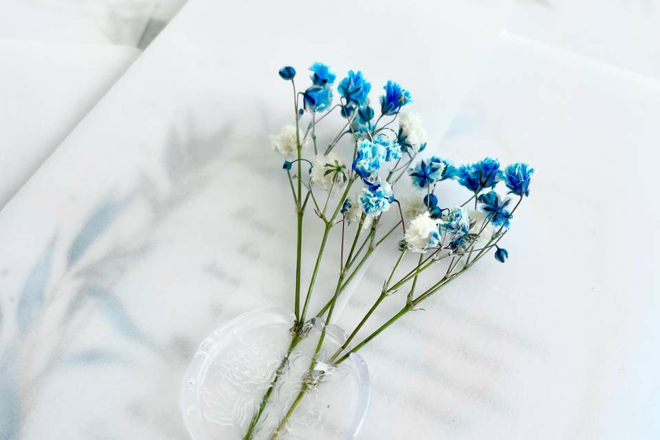 Gypsophila azul