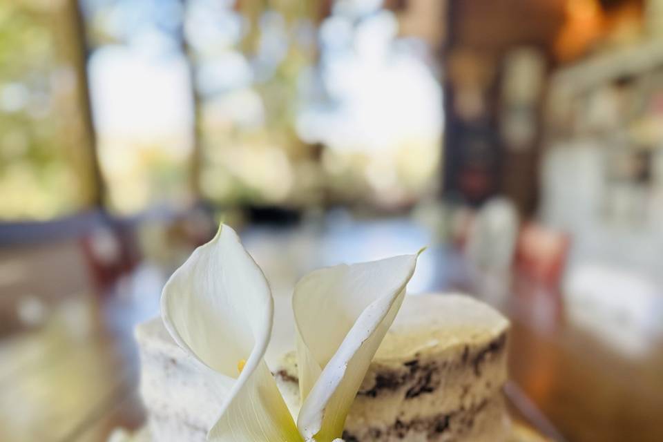 Casamento