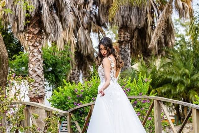 Events Wedding