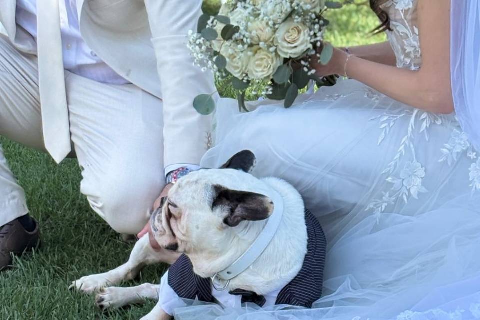 Events Wedding