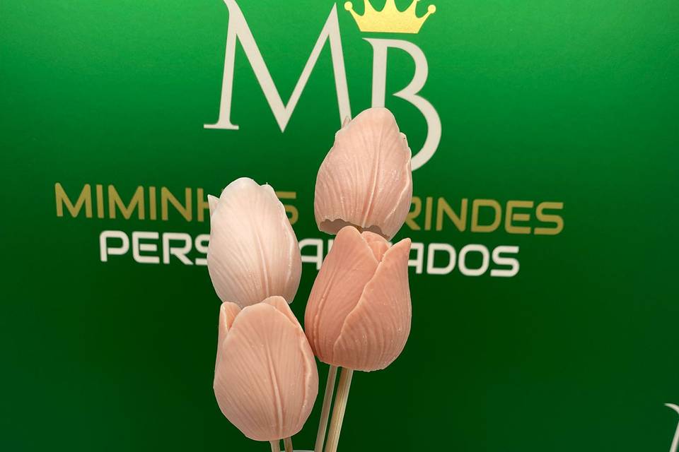 Garra Tulipas em Gesso Perfuma