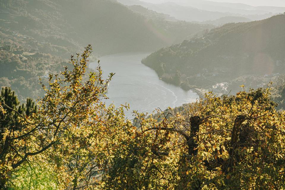 Vistas sobre o rio Douro 180º