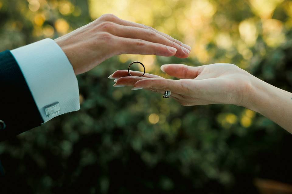 WEDDING 2026