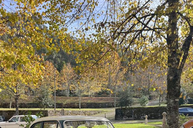 Ford Taunus 12m