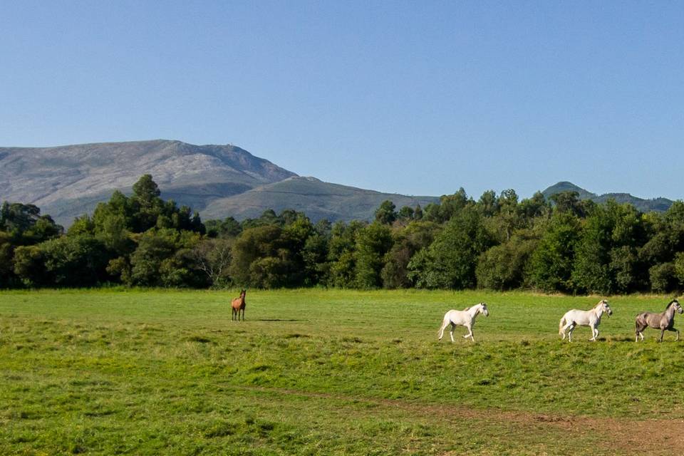 Vista serra d'Arga