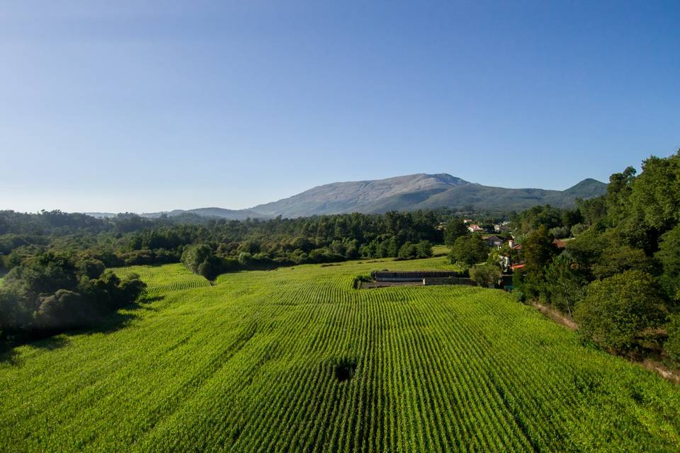 Vista aérea quinta