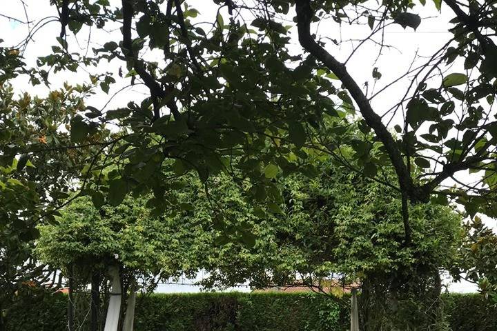 Quinta das Tendinhas