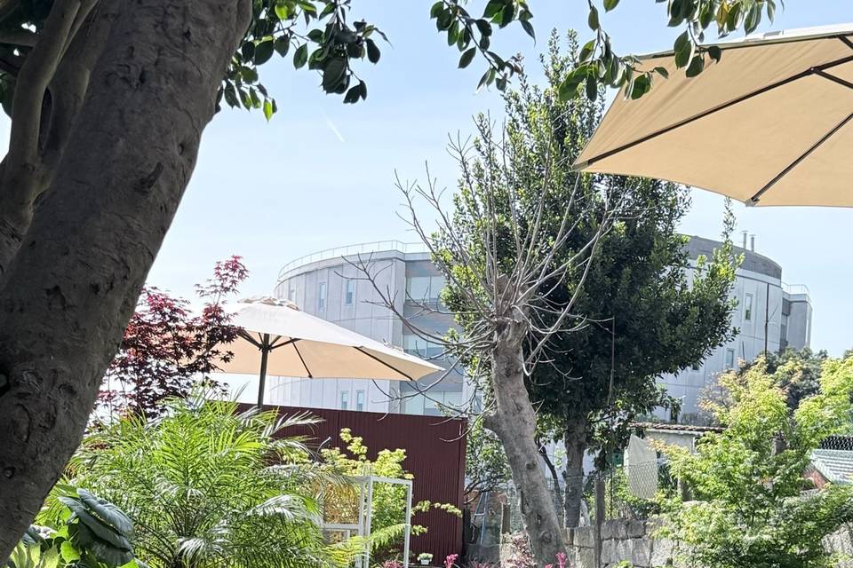 Jardim