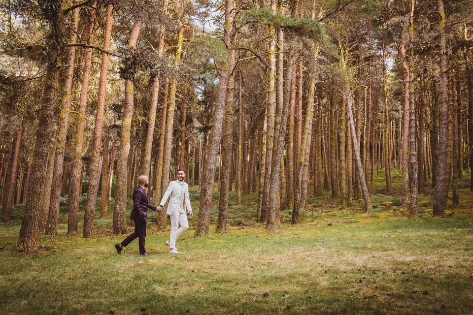 Trash the Dress