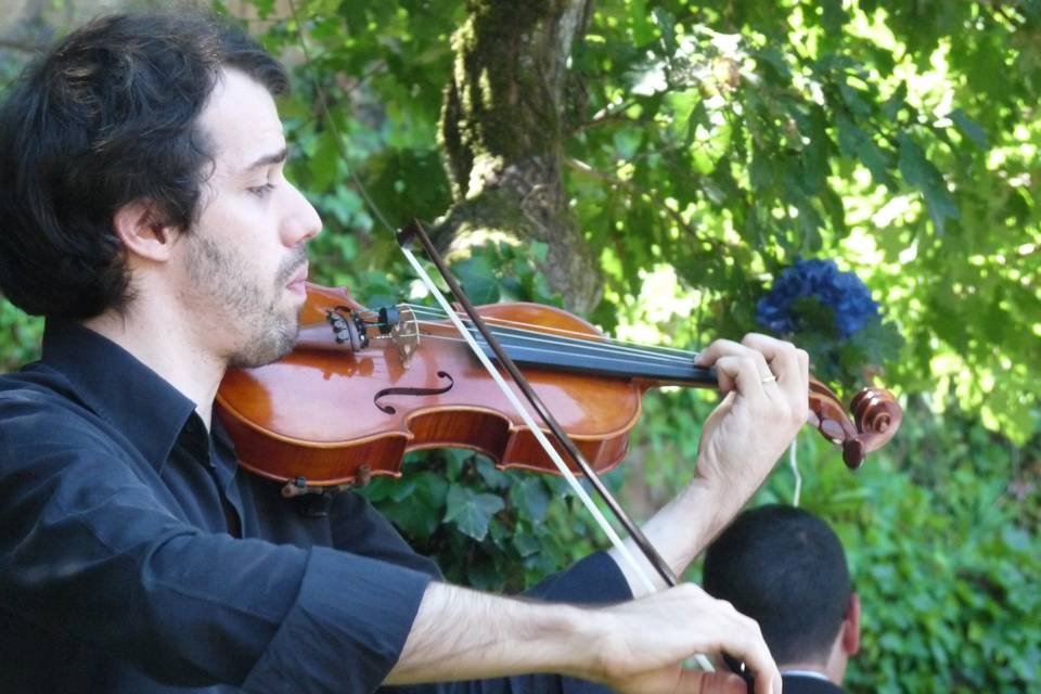 Violinista - cerimónia civil