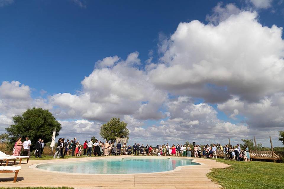 Jardim e piscina