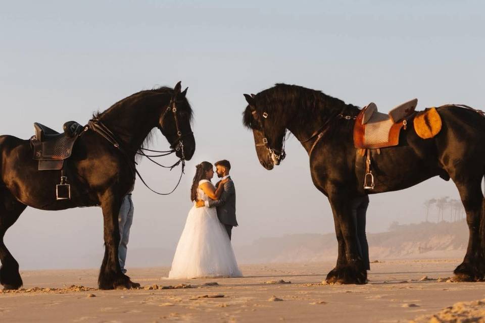 Sessões fotográficas