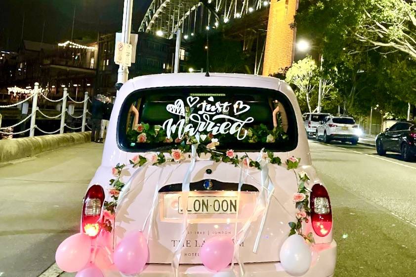 Just Married Decoration