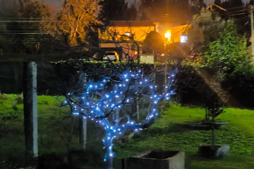 Casa Vale dos Caminhais