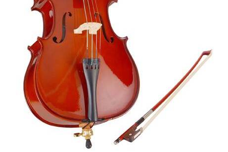 Violoncelo