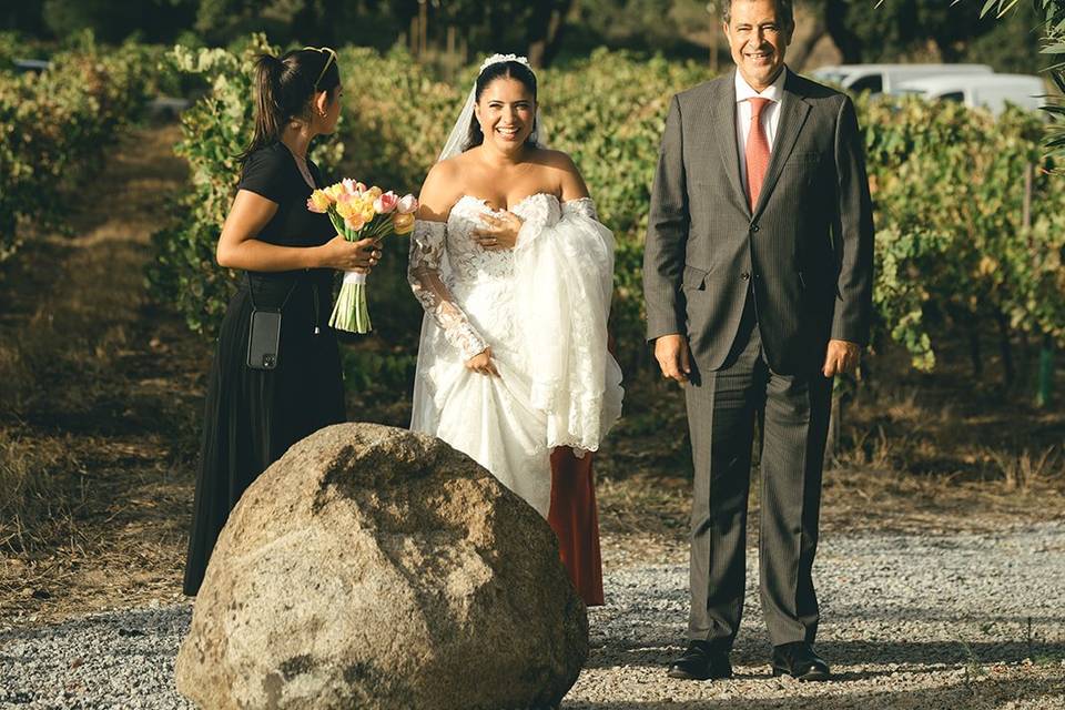 Wedding
