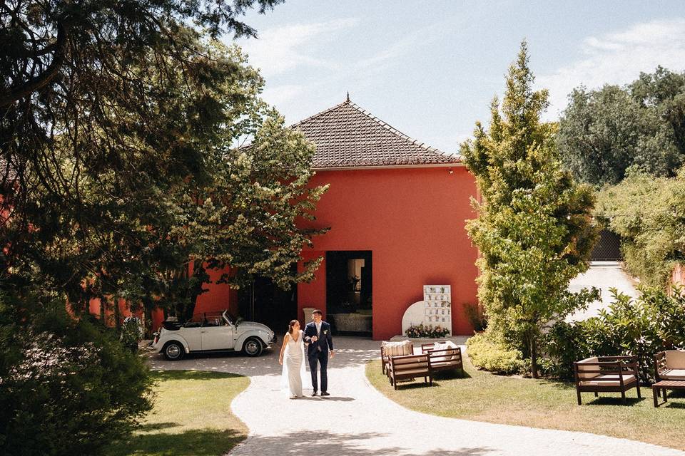 Wedding