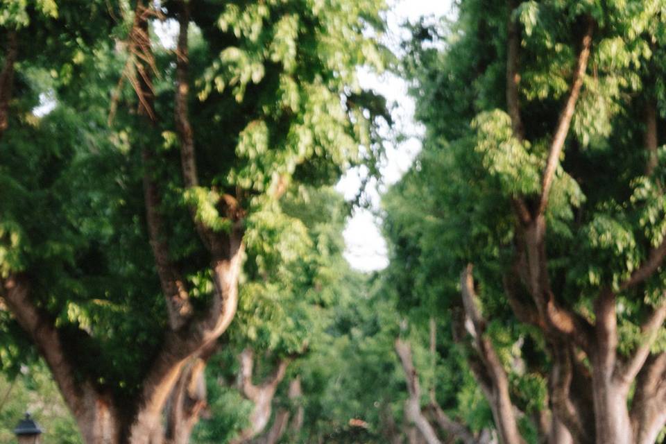 Engagement shoot
