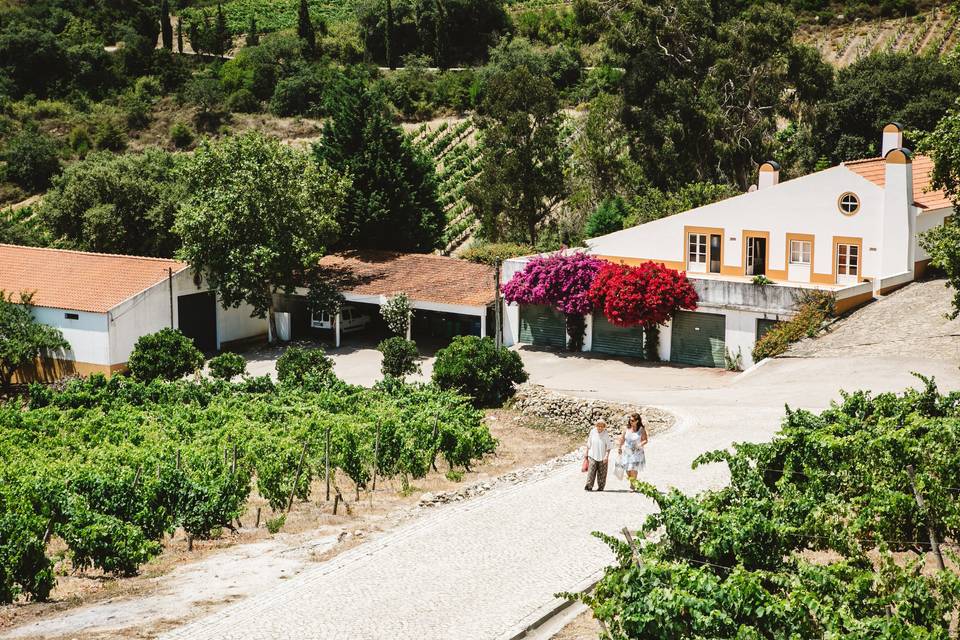 Quinta da murta