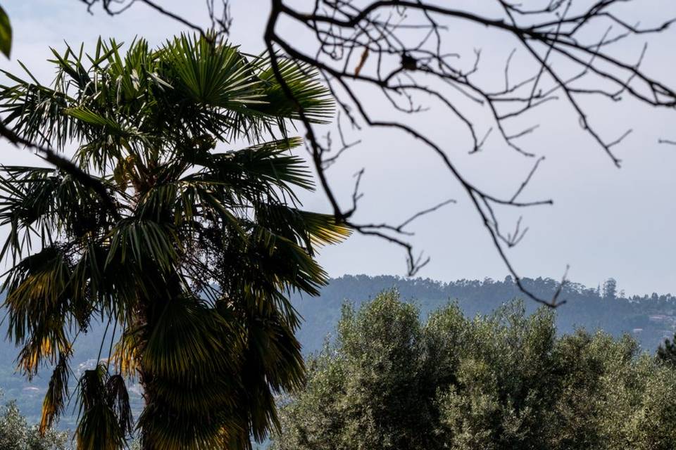 Quinta de Botas