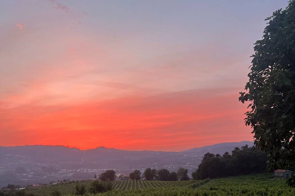 Quinta de Botas