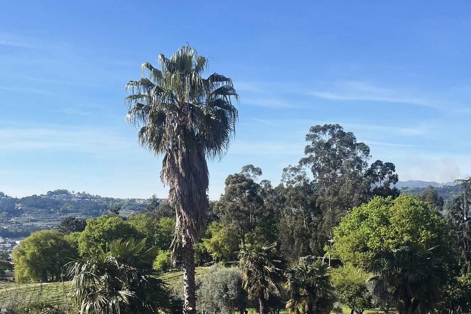 Quinta de Botas
