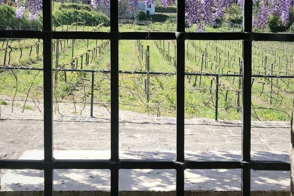 Quinta de Botas