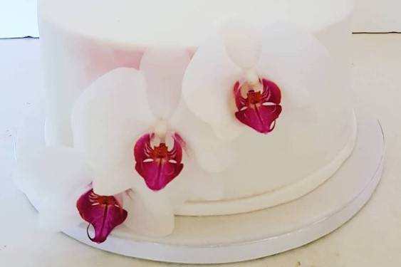 Bolo orquideas