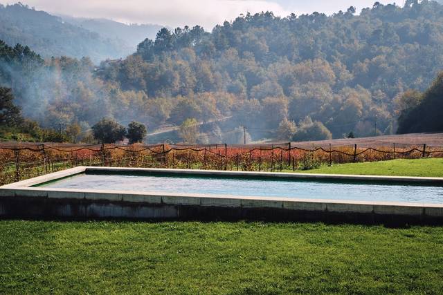 Vista piscina, vinhas, mirtilos