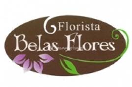 Florista Belas Flores