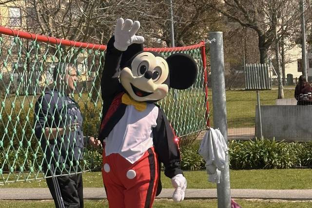Mickey Mascote