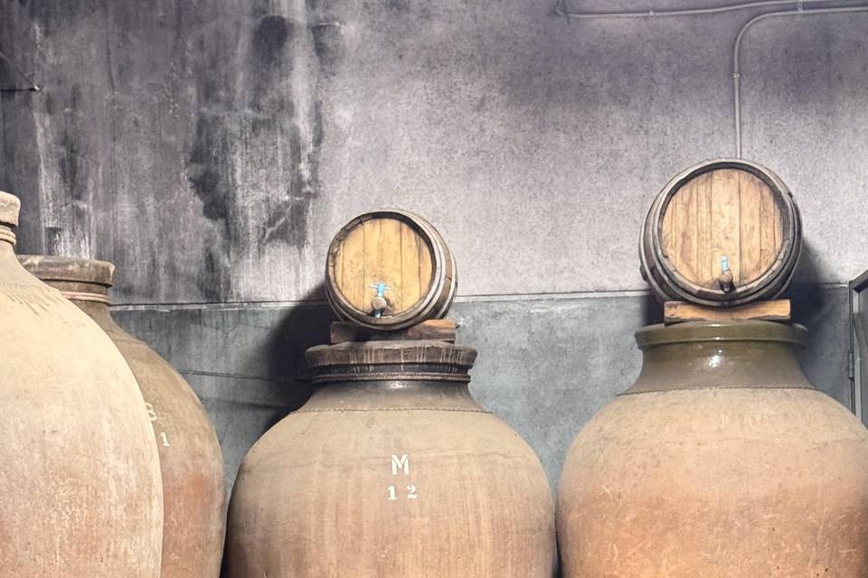 Adega e vinho proprio