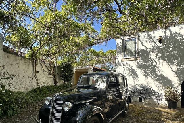 Austin Legacy