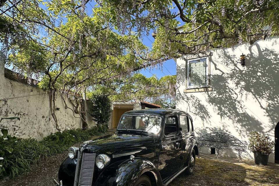 Austin Legacy
