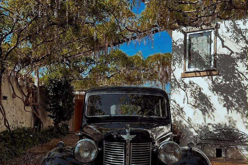 Austin Legacy