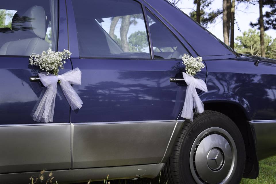 Foto decoração