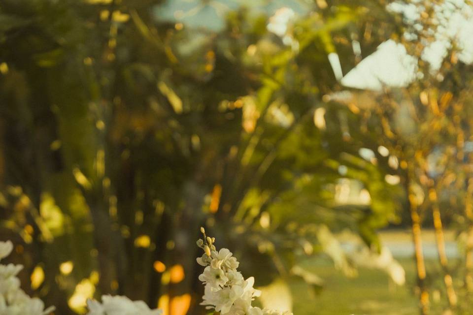 Joana & João