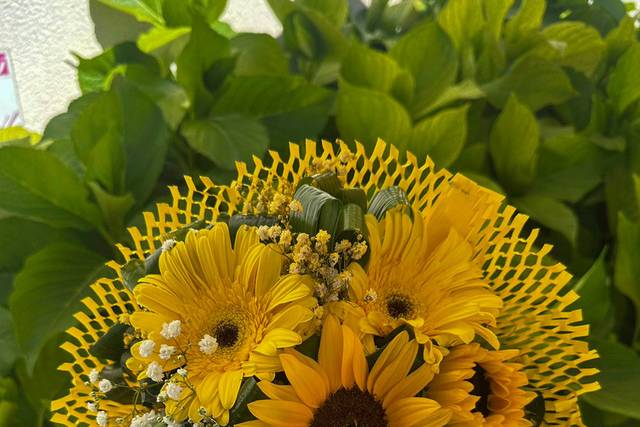 Florista Isilda