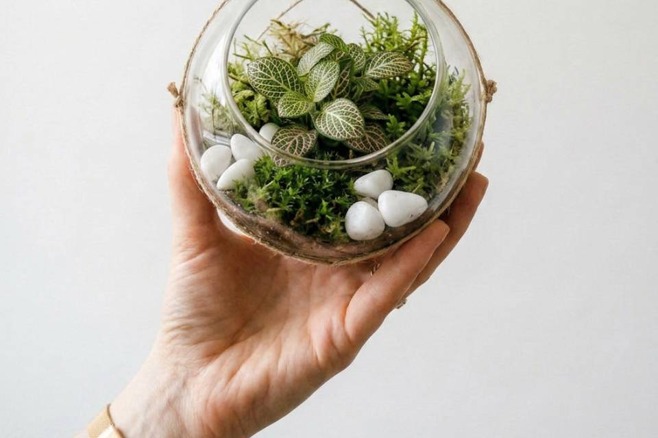 Mini terrário